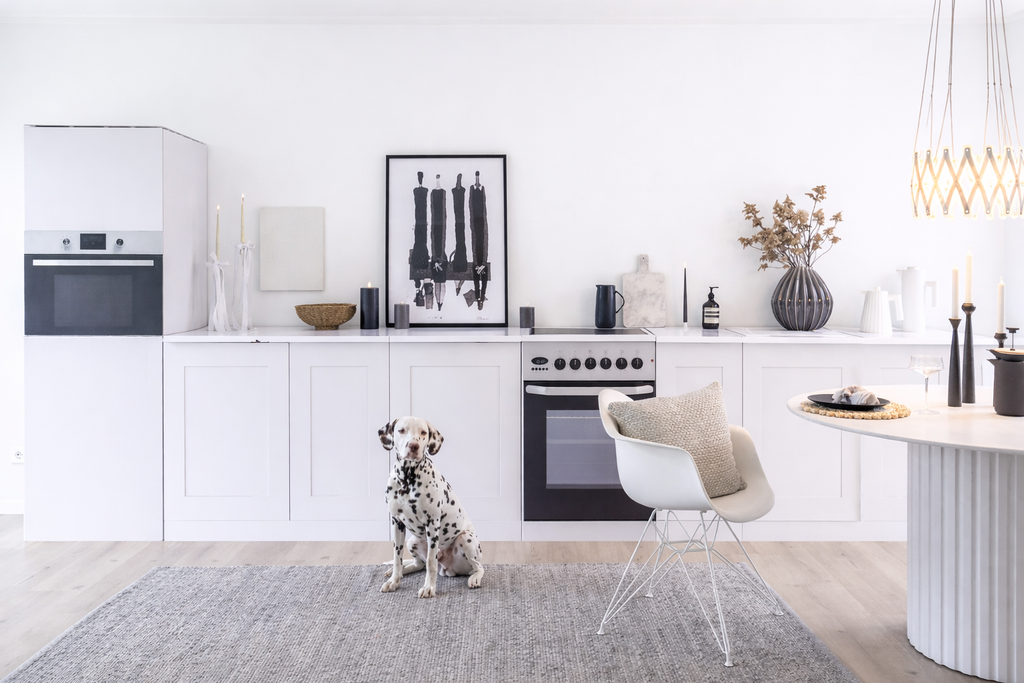 Home Staging Pappküche XXL – Anwendungsbeispiel im Home Staging