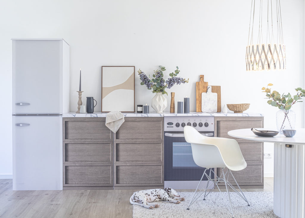 Kühlschrank-Attrappe FREEZEBERT für Home Staging Pappküchen