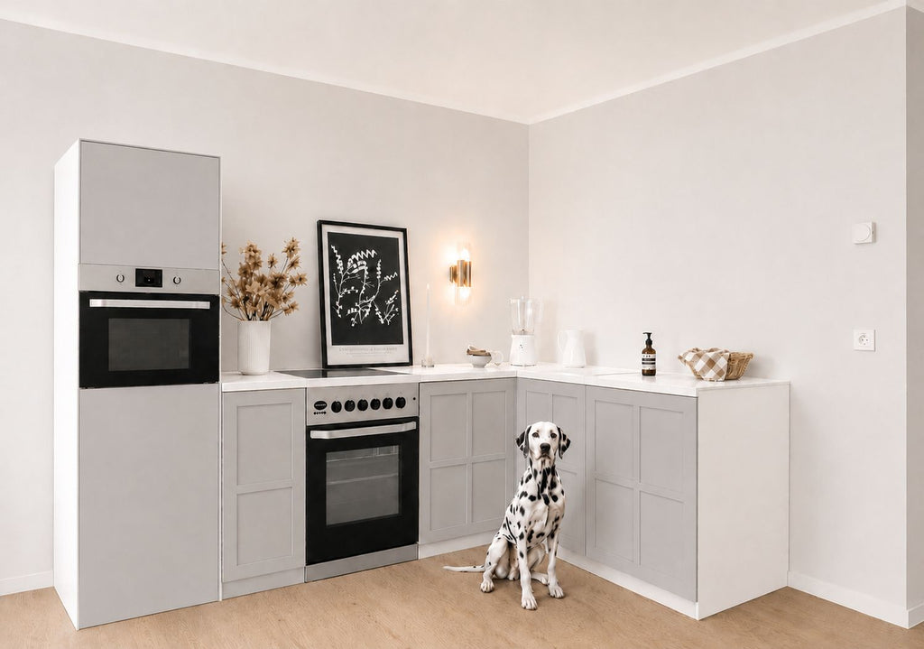 Pappküche 270 × 180 cm mit Hochschrank und Herd – Anwendungsbeispiel im Home Staging